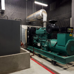 Biogas generators